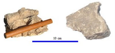 Parts of wattle and daub
