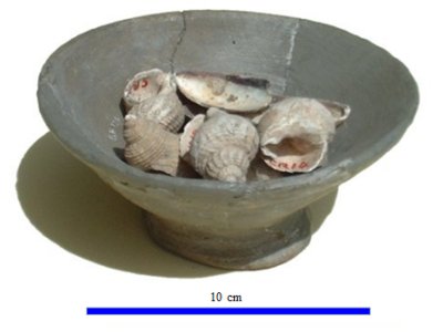 Historical bowl containing shells