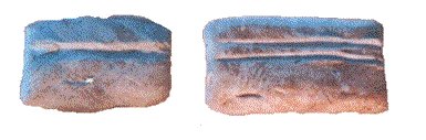 Chunks of antlers with grooves
