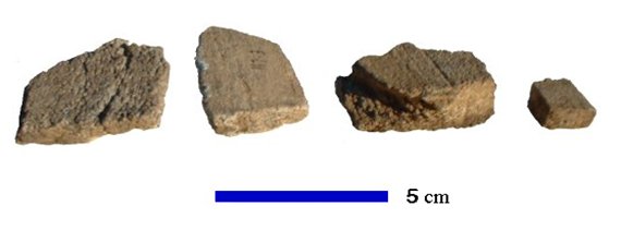 Chunks of whale bone