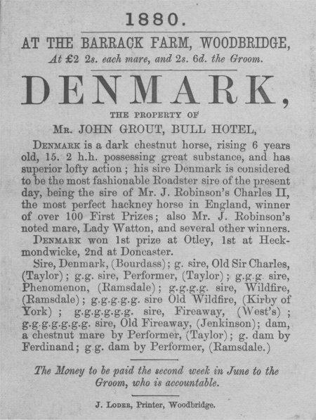 Printed sale card for a horse called Denmark