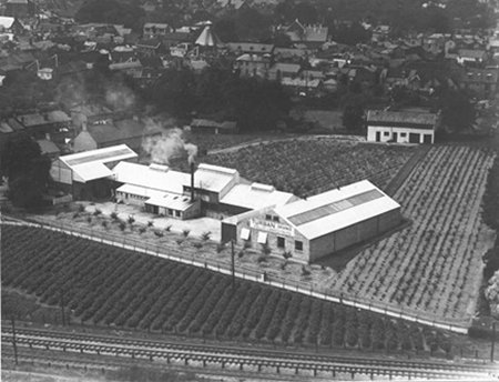 Aerial view of factory