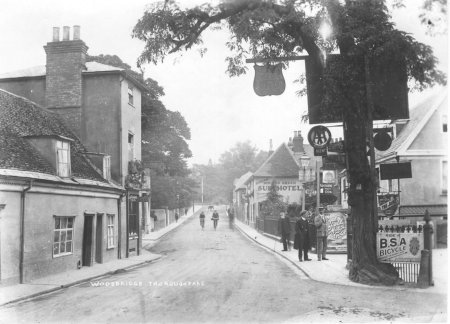 Street with tree and signs
