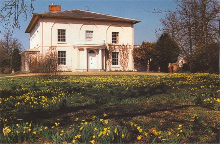 White house with lawn of daffodils