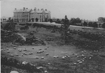 House in distance with land and sheep